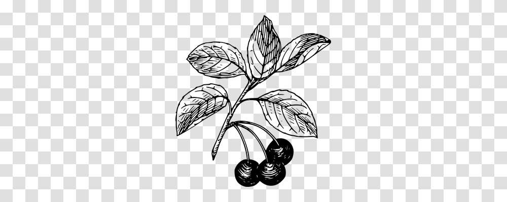 Cherries Nature, Gray, World Of Warcraft Transparent Png