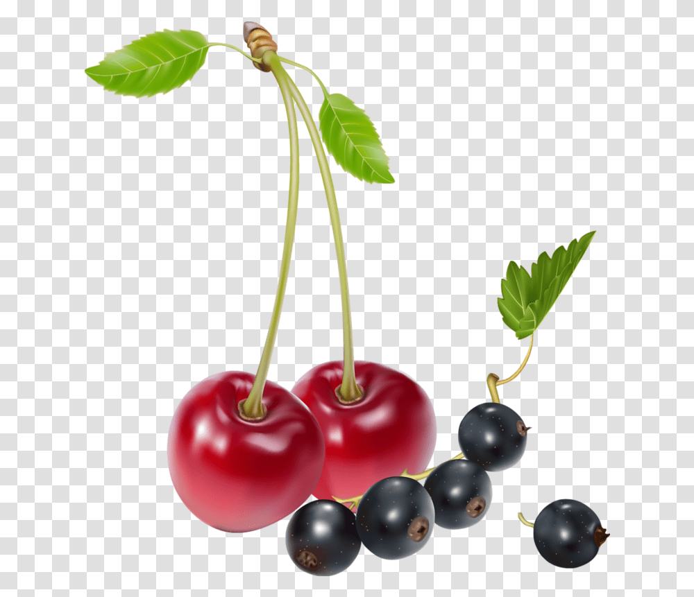 Cherries And Blueberries Clipart Cherries And Blueberries, Plant, Fruit, Food, Cherry Transparent Png