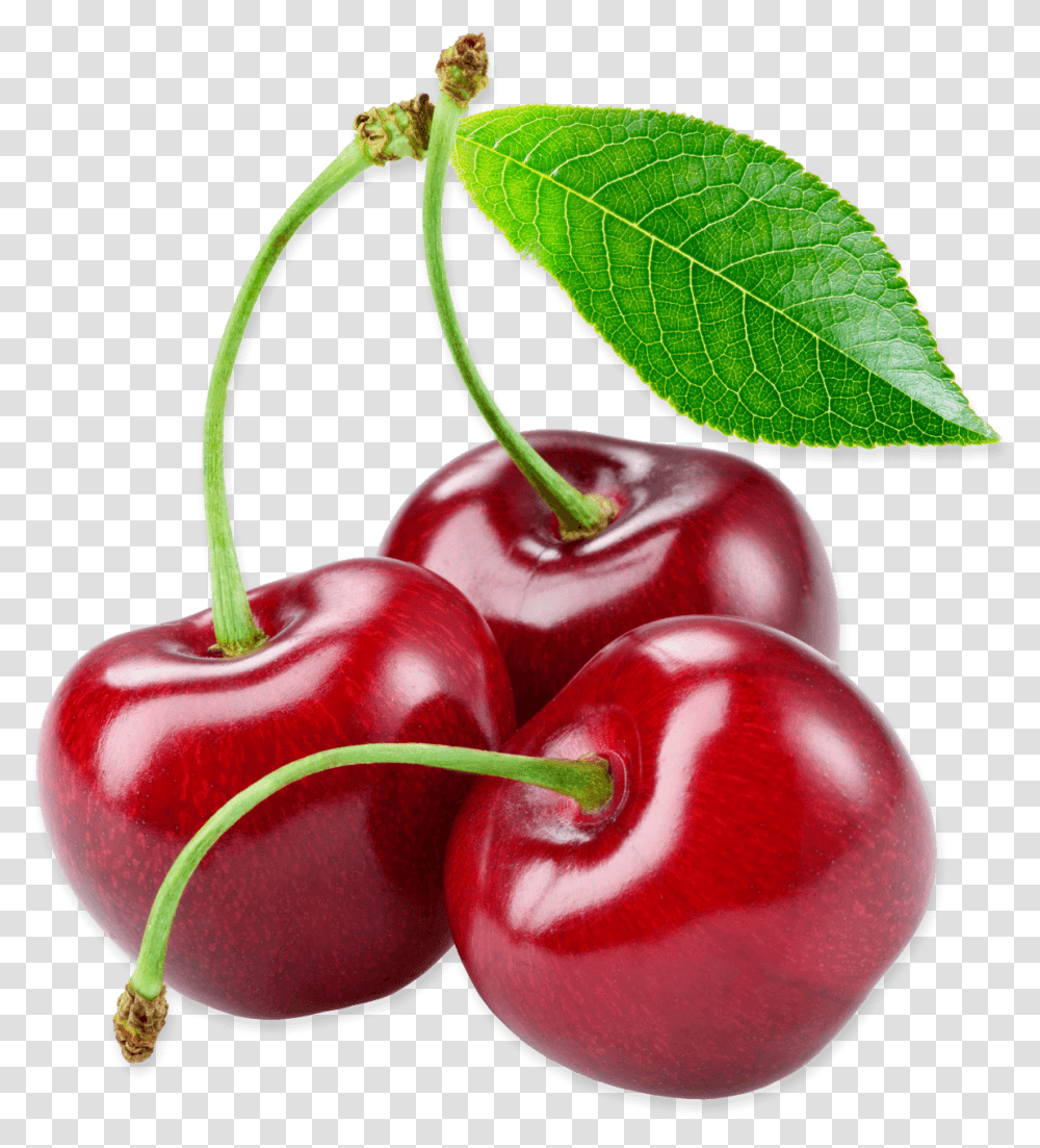 Cherries Background Cherries, Plant, Fruit, Food, Cherry Transparent Png