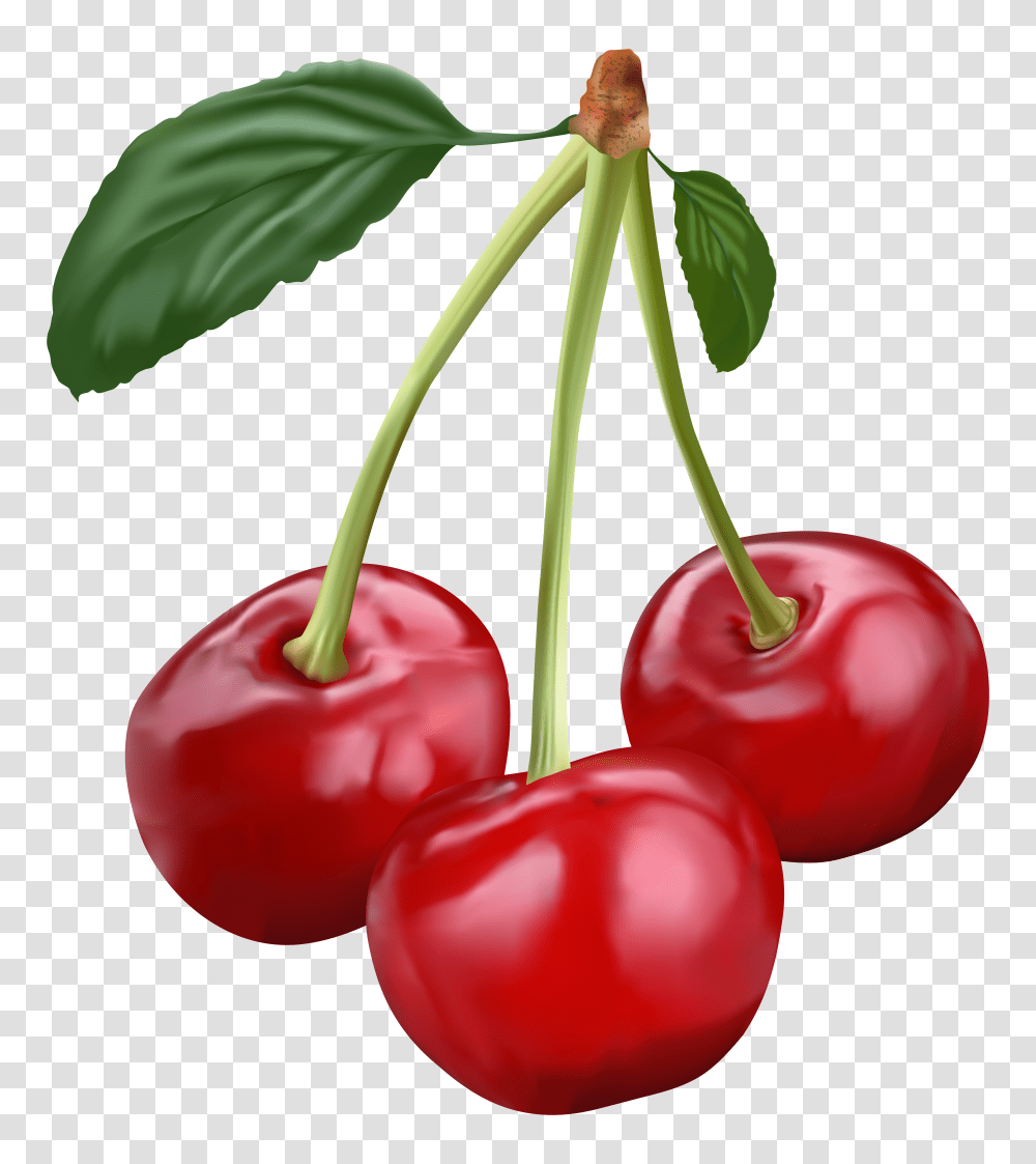 Cherries Cherry Clipart Background Transparent Png