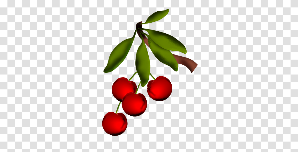 Cherries Clip Art Clip Art, Plant, Fruit, Food, Cherry Transparent Png