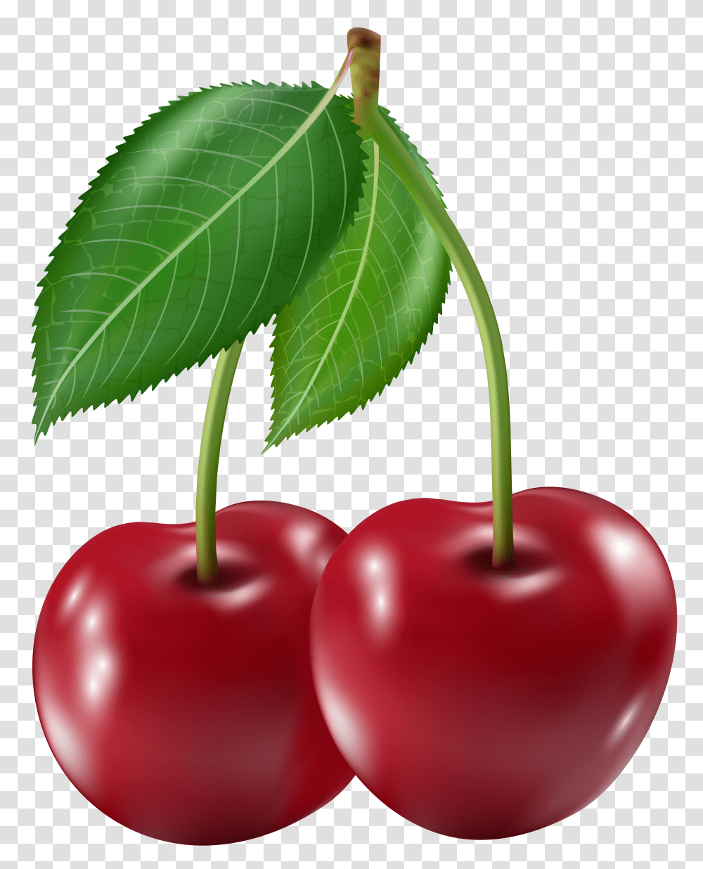 Cherries Clip Art Transparent Png