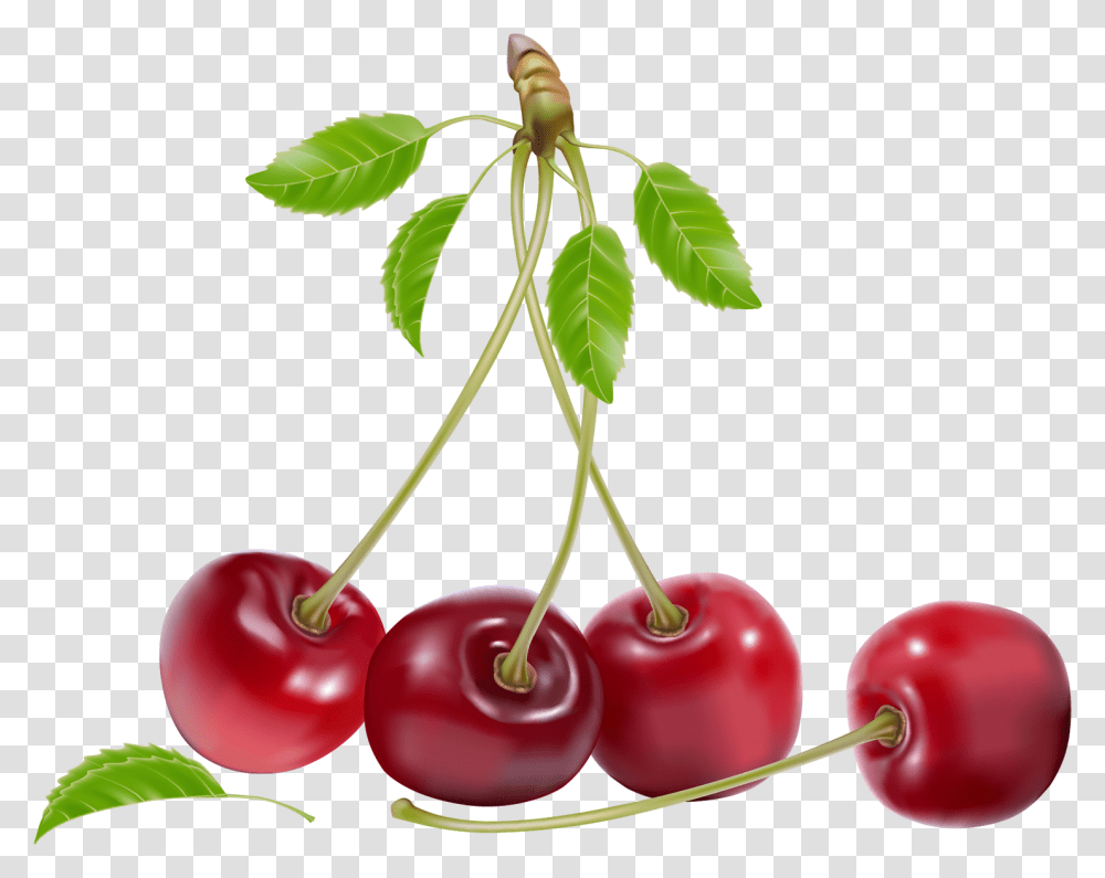 Cherries Clipart Cherries, Plant, Fruit, Food, Cherry Transparent Png