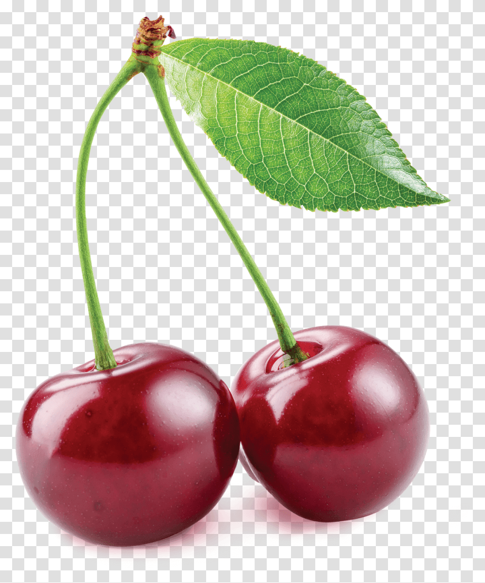Cherries Clipart Sour Cherry, Plant, Fruit, Food Transparent Png