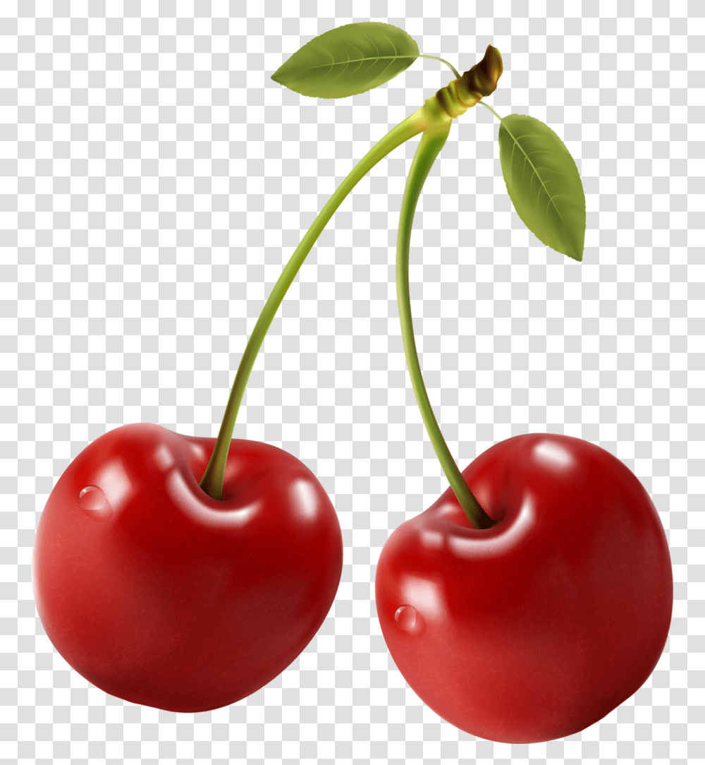 Cherries Food Clipart Perfect Food Printing Labels Red Cherry Clipart, Plant, Fruit Transparent Png