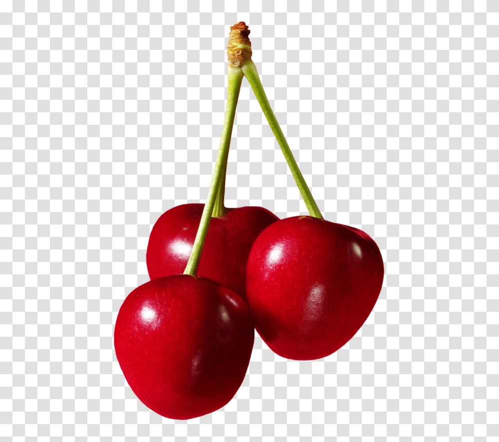Cherries Fruit Clipart, Apple, Plant, Food, Cherry Transparent Png