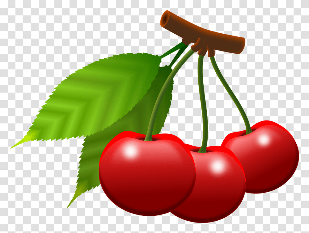 Cherries Fruits Berries Food Eat Power Supply Essen Lustige Bilder Bewegliche Bilder, Plant, Cherry Transparent Png