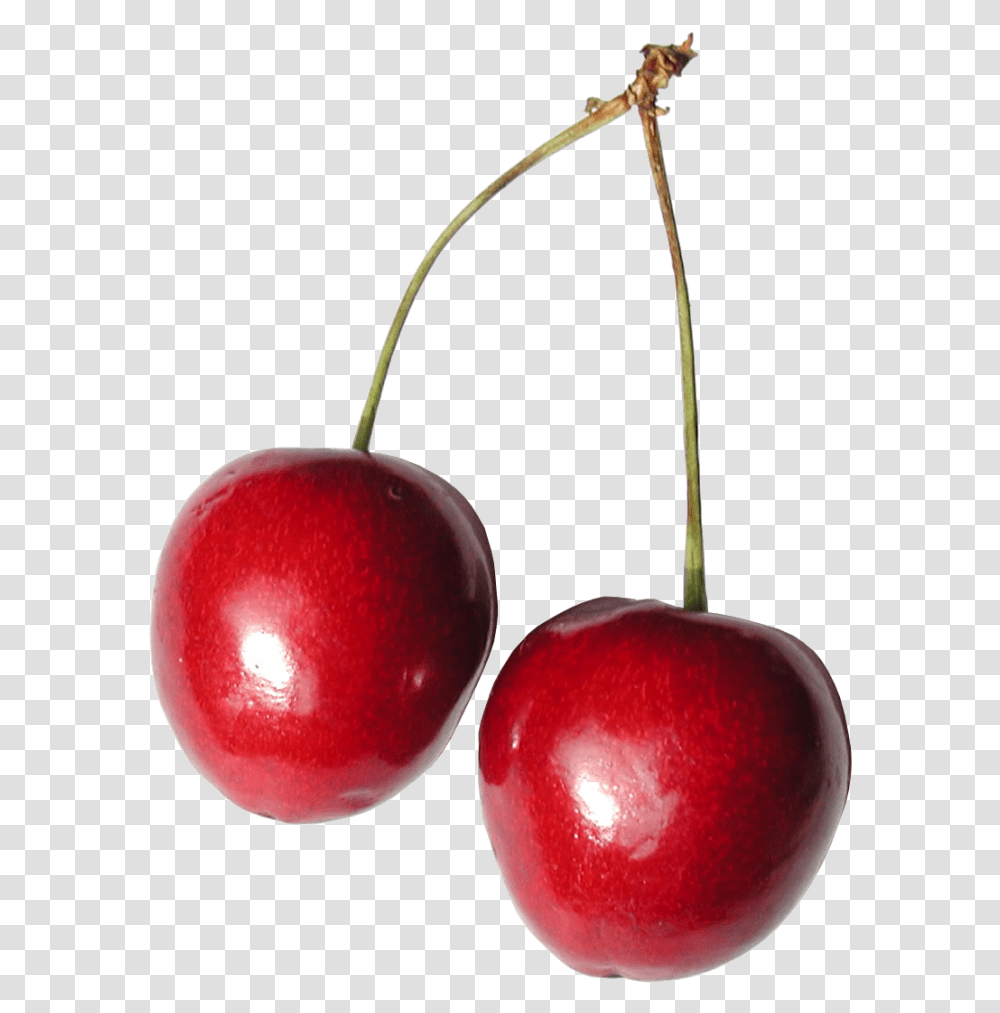 Cherries Image Cherry, Plant, Apple, Fruit, Food Transparent Png