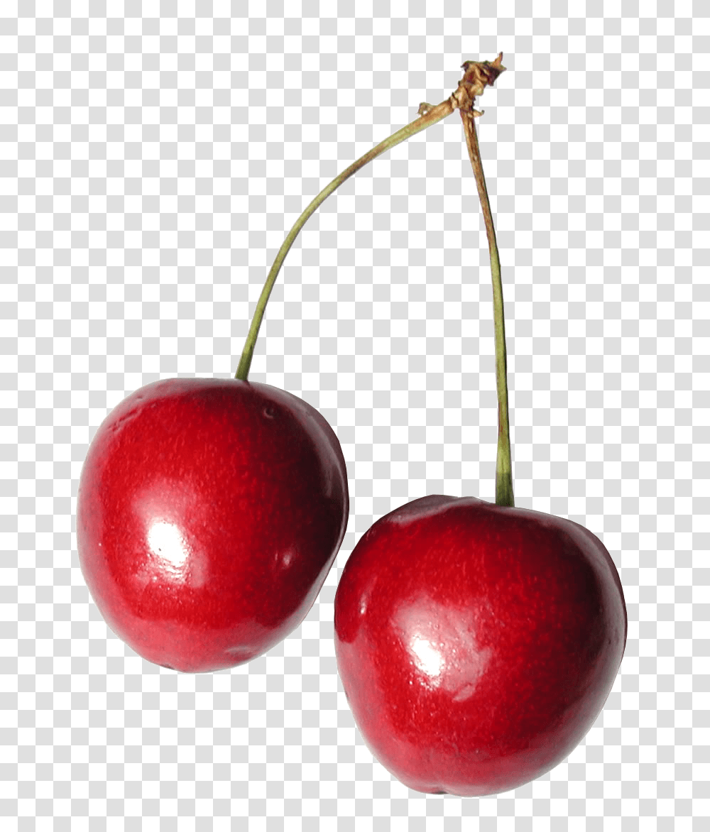 Cherries Image Cherry, Plant, Fruit, Food, Apple Transparent Png