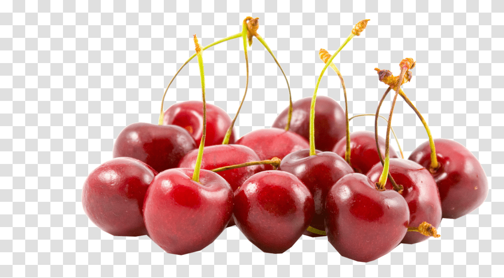 Cherries Image, Plant, Fruit, Food, Cherry Transparent Png