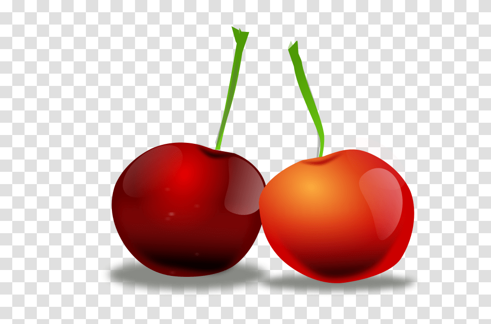 Cherries, Nature, Plant, Fruit, Food Transparent Png