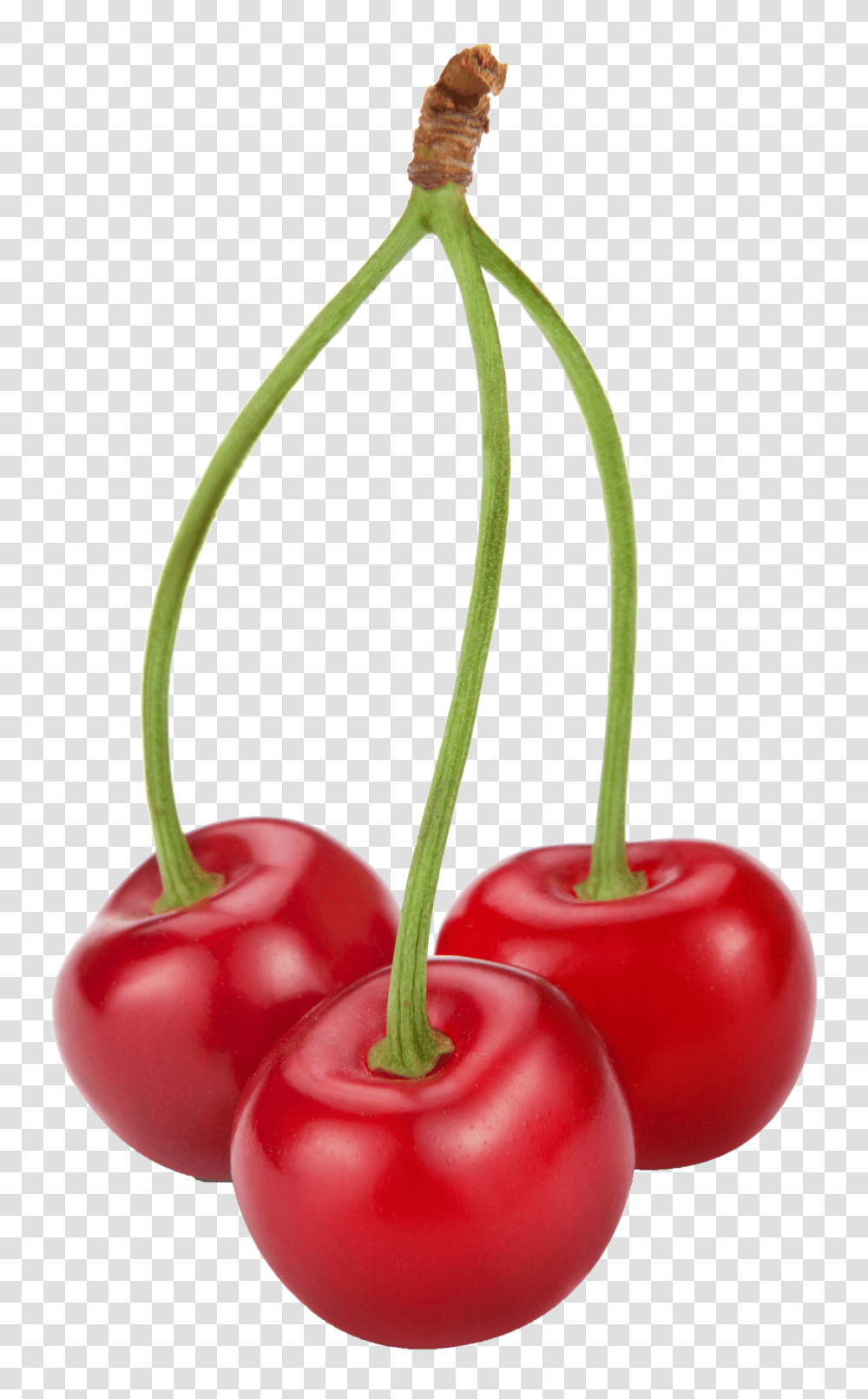 Cherries, Plant, Fruit, Food, Cherry Transparent Png