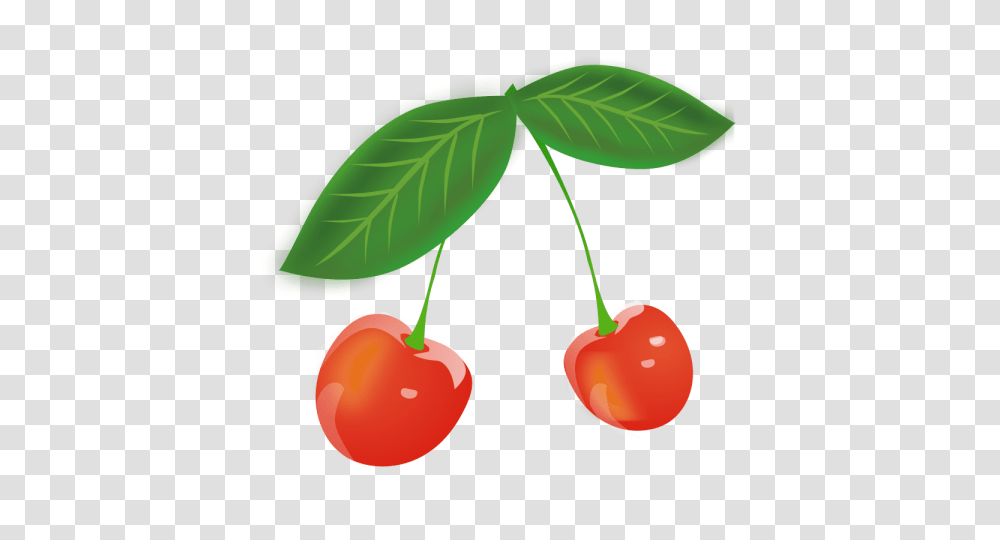 Cherries, Plant, Fruit, Food, Cherry Transparent Png