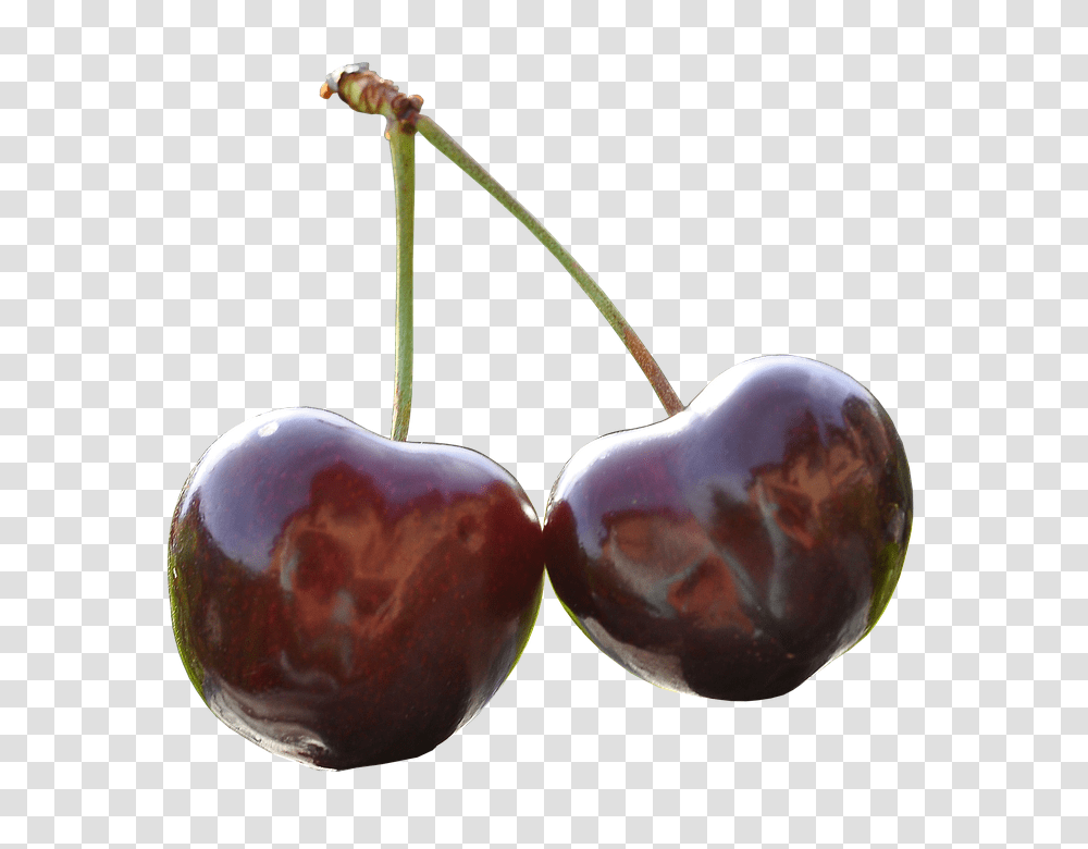 Cherry 960, Fruit, Plant, Food Transparent Png