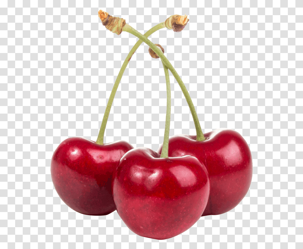 Cherry 4k, Plant, Fruit, Food Transparent Png