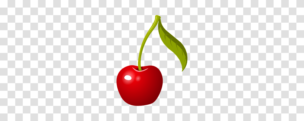 Cherry Nature, Plant, Fruit, Food Transparent Png