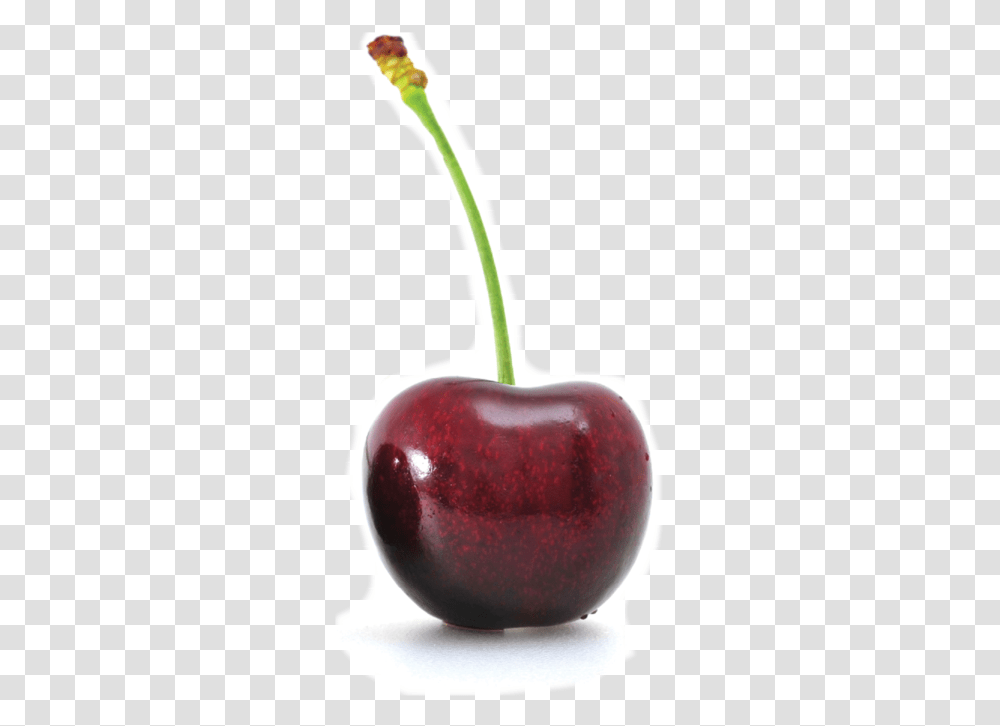 Cherry, Apple, Fruit, Plant, Food Transparent Png