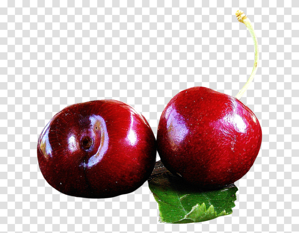 Cherry, Apple, Fruit, Plant, Food Transparent Png