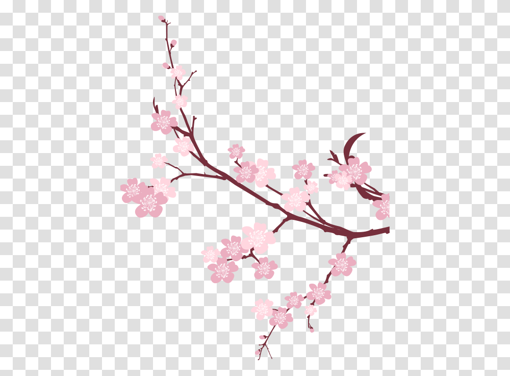 Cherry Blossom Background, Plant, Flower Transparent Png