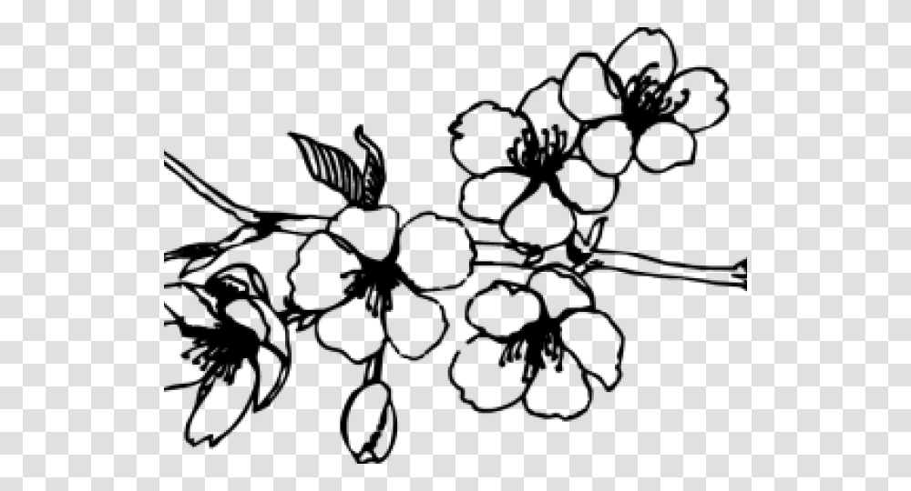 Cherry Blossom Black And White, Gray, World Of Warcraft Transparent Png