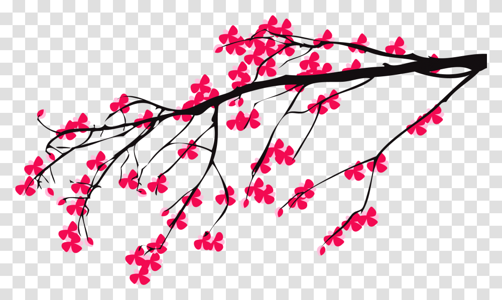 Cherry Blossom Branch Cherry Blossom Tree Drawing, Plant, Flower, Petal, Fruit Transparent Png