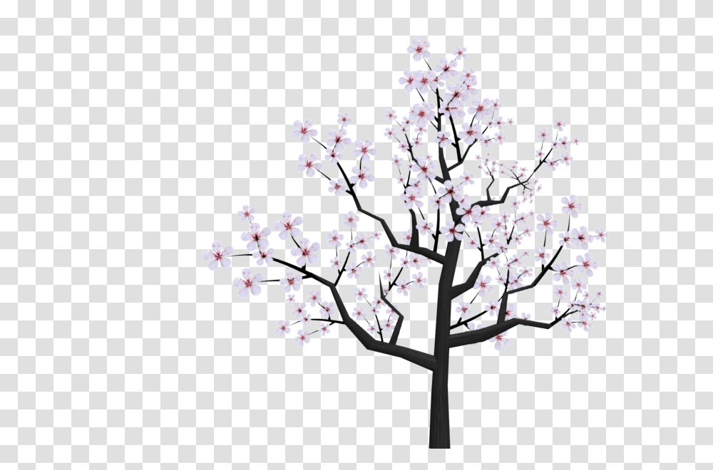 Cherry Blossom Branch Drawings Clip Art Japanese Cherry Blossom, Plant, Flower Transparent Png