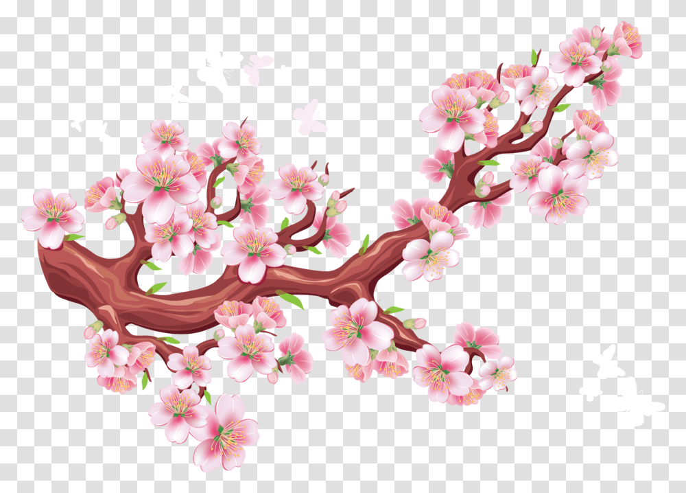 Cherry Blossom Branch Gambar Bunga Sakura Vector, Plant, Flower, Petal Transparent Png