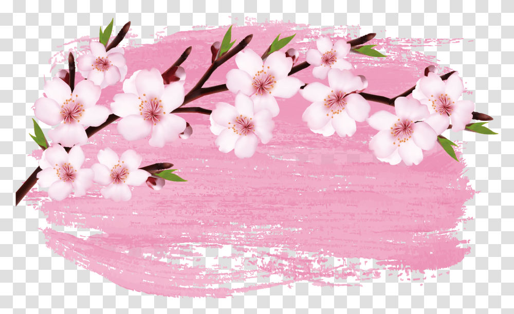 Cherry Blossom Branch Sakura Banner, Plant, Flower, Petal Transparent Png