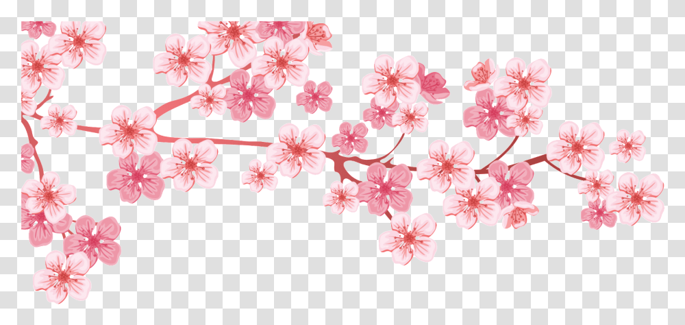 Cherry Blossom Branch Tree Almond, Plant, Flower,  Transparent Png