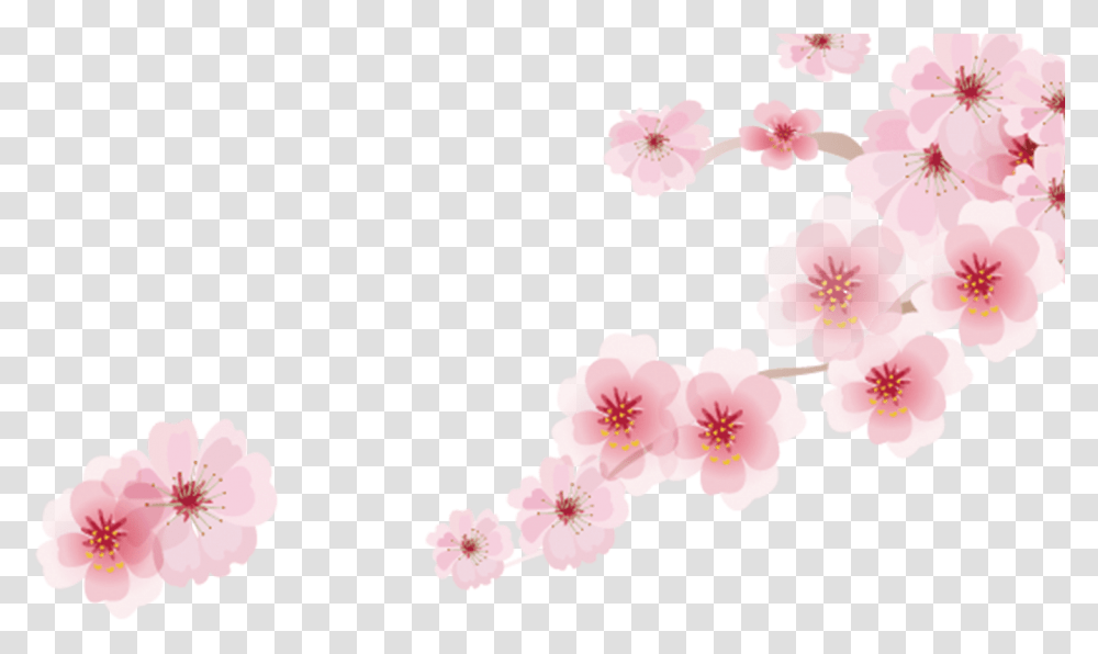Cherry Blossom Cartoon Romantic Sakura Japanese Cartoon Sakura Cartoon, Plant, Flower, Petal Transparent Png