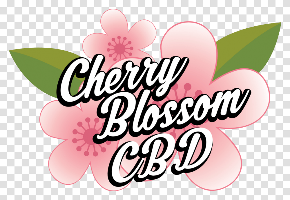 Cherry Blossom Cbd Floral Design, Label, Alphabet, Plant Transparent Png