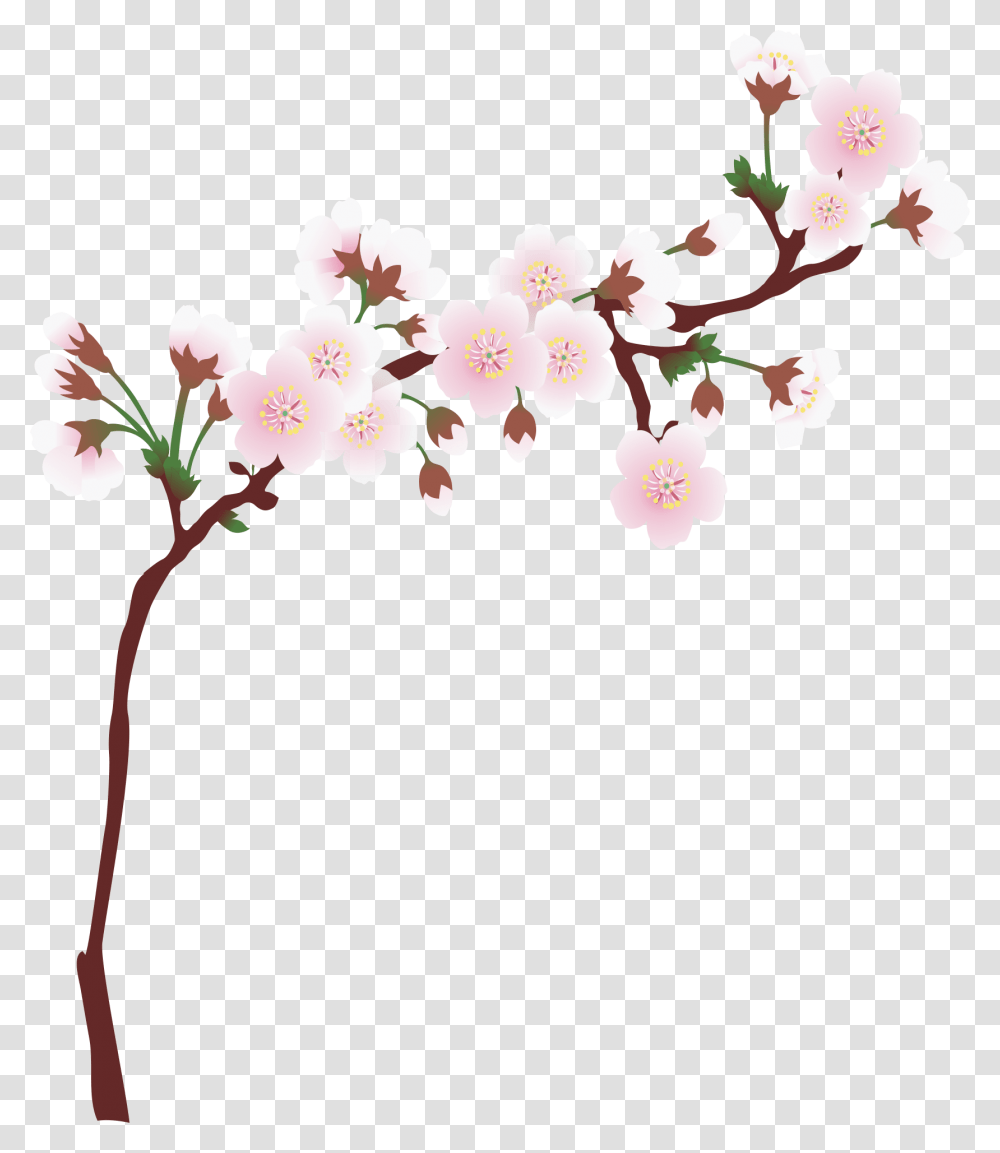 Cherry Blossom Cherry Blossom Border Clip Art, Plant, Flower, Vase, Jar Transparent Png