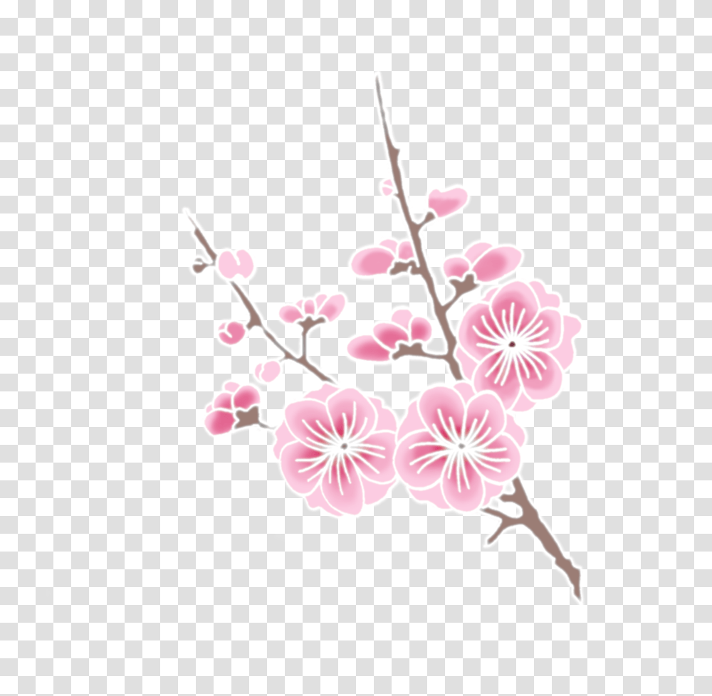 Cherry Blossom Cherry Blossom Branch Clipart, Plant, Flower Transparent Png