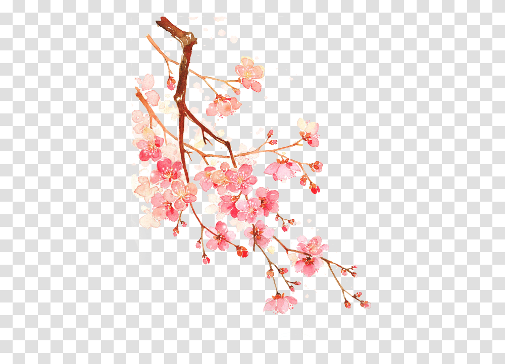 Cherry Blossom Cherry Blossom Cherry Blossoms, Plant, Flower Transparent Png