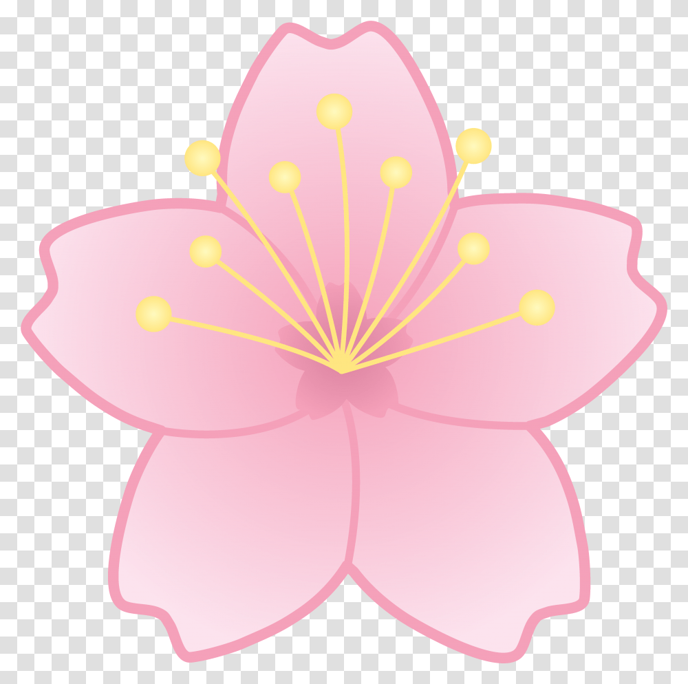 Cherry Blossom Cherry Blossom Flower Clip Art, Plant, Petal, Anther, Hibiscus Transparent Png