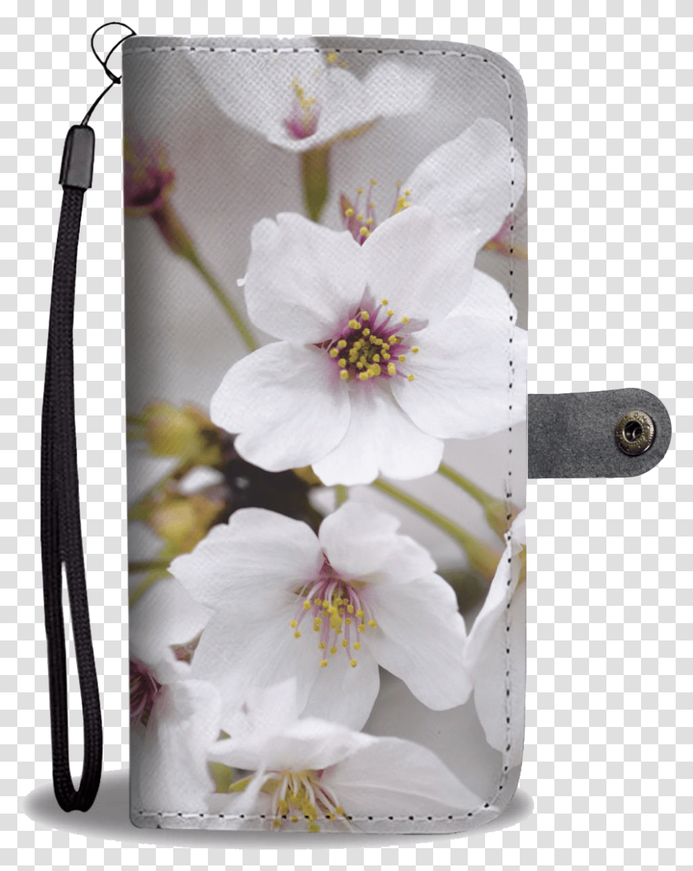 Cherry Blossom Cherry Blossom, Plant, Flower, Pollen, Geranium Transparent Png