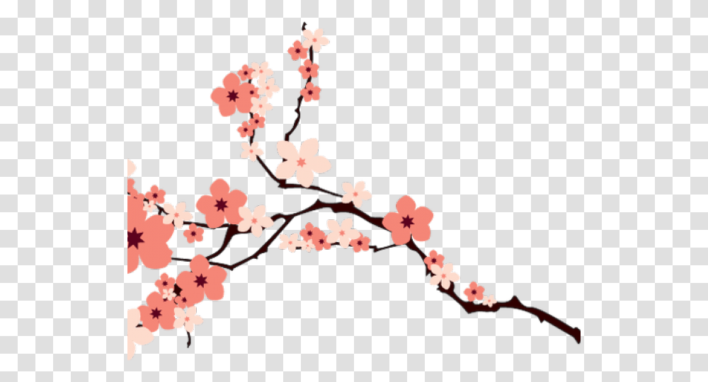 Cherry Blossom Clipart Cherry Blossom Vector, Plant, Flower Transparent Png