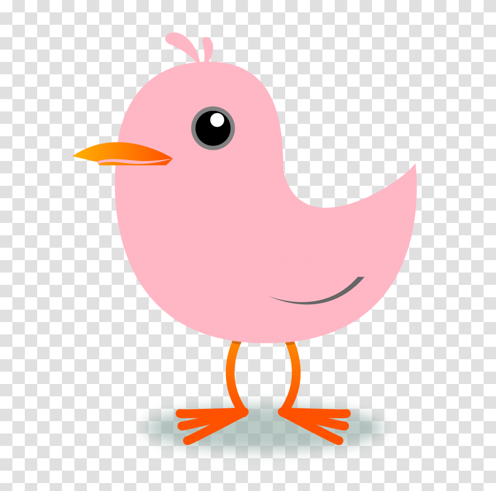 Cherry Blossom Clipart Pink Bird, Animal, Beak, Fowl, Poultry Transparent Png