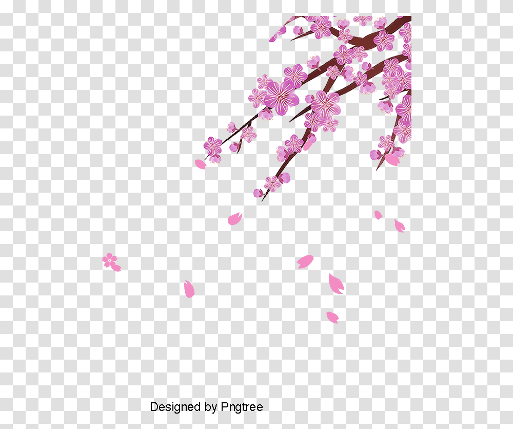 Cherry Blossom Clipart Sakura Flower Cherry Blossom Leaves, Plant, Petal, Paper Transparent Png