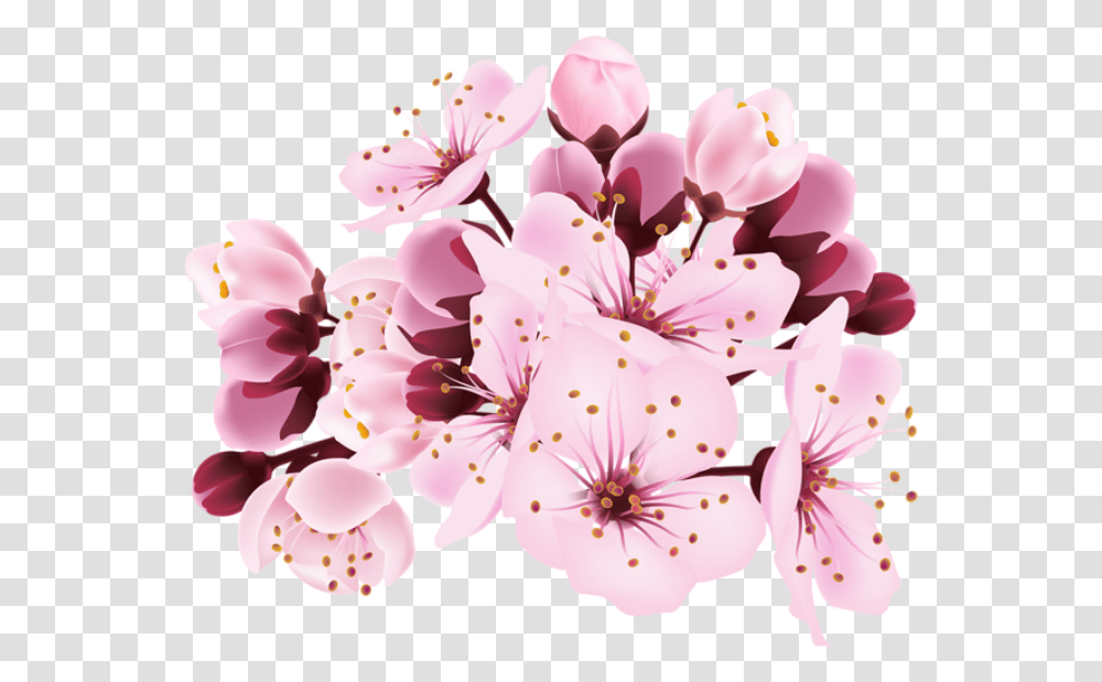 Cherry Blossom Decorative Image Cherry Blossoms Background, Plant, Flower, Anther Transparent Png