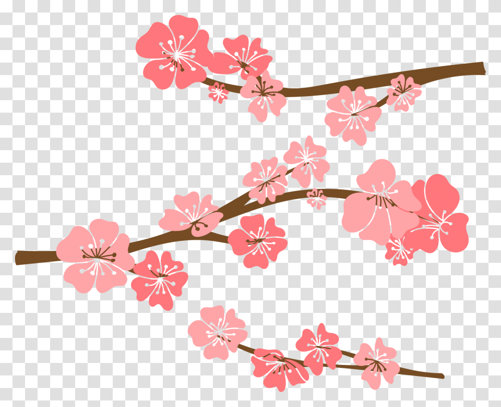 Cherry Blossom Drawing Cute Cherry Blossom Background, Plant, Flower, Petal, Spring Transparent Png