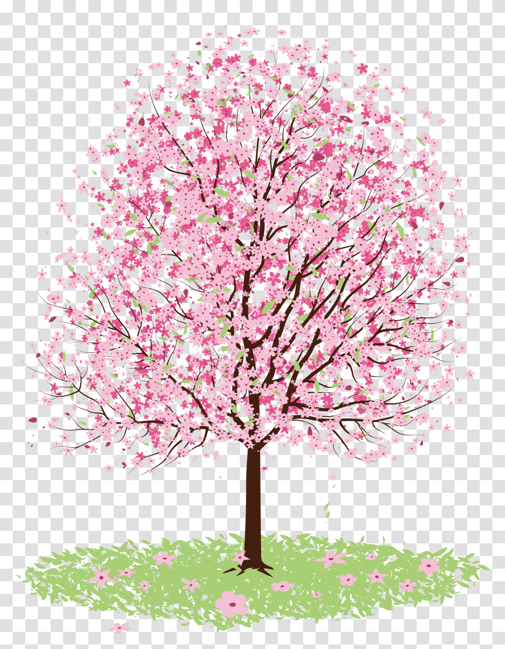 Cherry Blossom Drawing Tree Vector Cherry Blossom Tree, Plant, Flower, Petal Transparent Png
