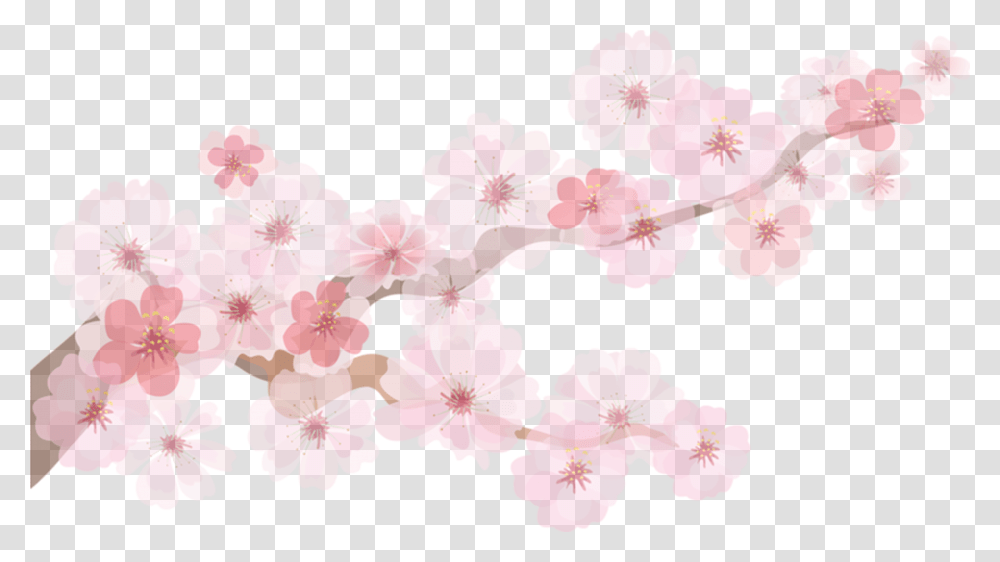 Cherry Blossom Emoji Cherry Blossom Paper Decoration, Plant, Flower, Petal, Anther Transparent Png