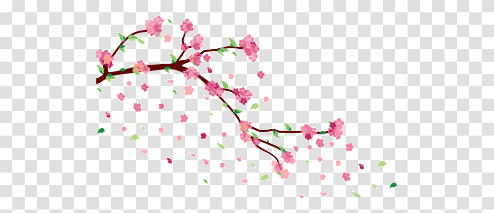 Cherry Blossom Falling By Ayshamostafiz Cherry Blossom Aesthetic, Plant, Flower, Petal Transparent Png