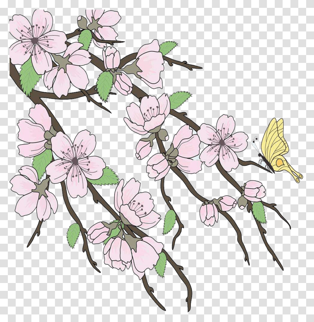 Cherry Blossom, Floral Design, Pattern Transparent Png