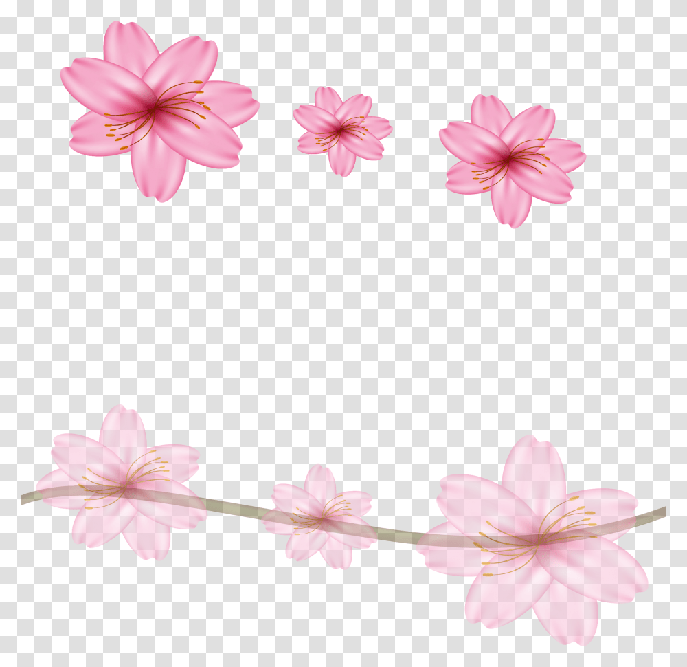 Cherry Blossom Flower Border Designs, Plant, Petal, Spring, Geranium Transparent Png