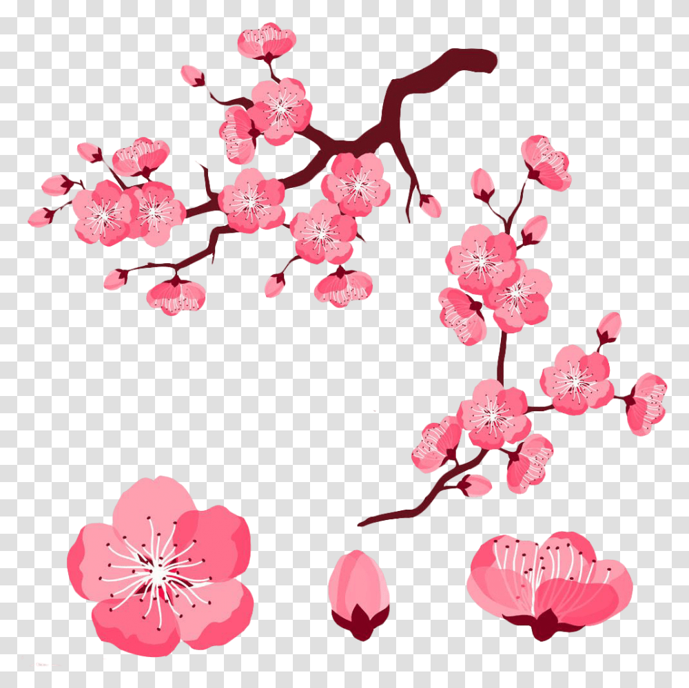 Cherry Blossom Flower Cartoon Image Sakura Flower Cartoon Cherry Blossom Flowers, Plant, Rug, Floral Design, Pattern Transparent Png