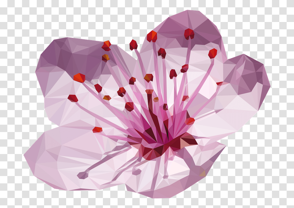 Cherry Blossom Flower Flower Cherry Blossom, Plant, Diamond, Gemstone, Jewelry Transparent Png