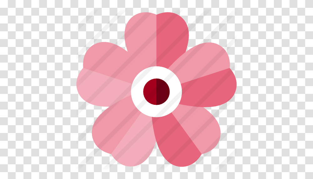 Cherry Blossom, Flower, Plant, Pattern, Baseball Cap Transparent Png