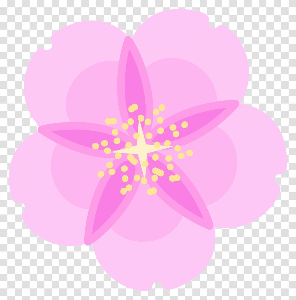 Cherry Blossom Flower Spring Free Vector Graphic On Pixabay Illustration, Plant, Petal, Anther, Hibiscus Transparent Png